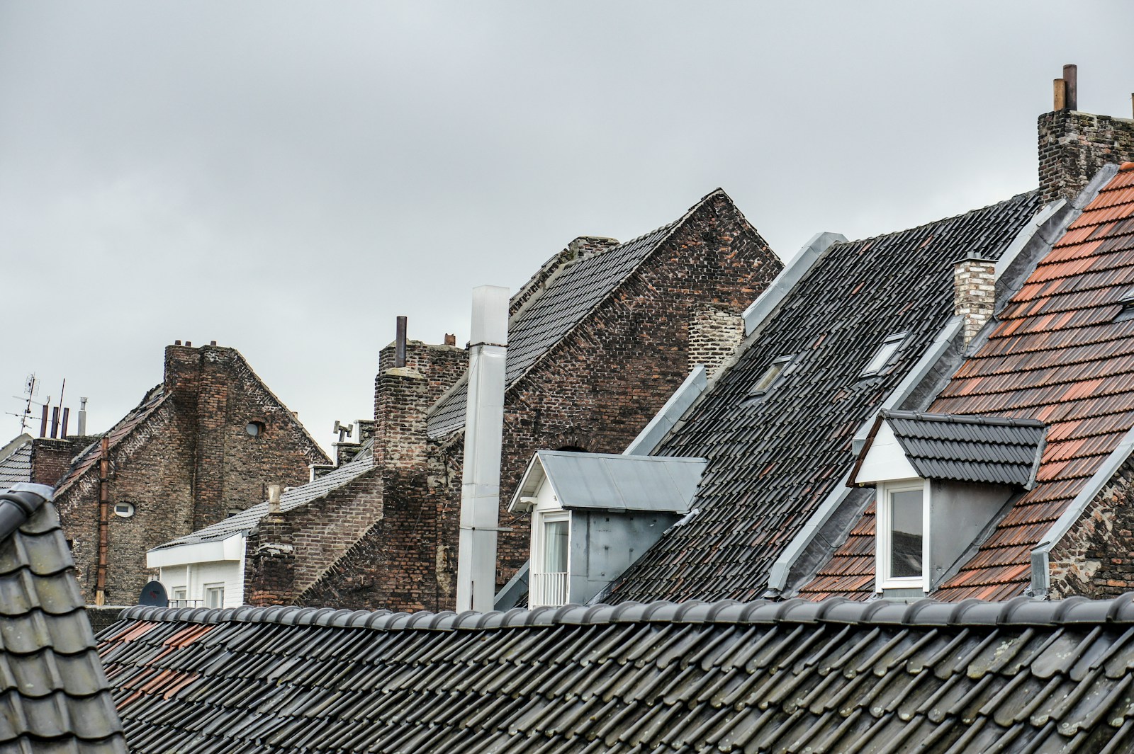 Quel type de toiture un couvreur à Paris recommande-t-il ?