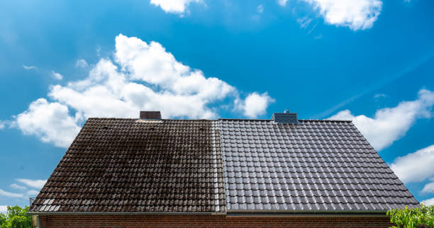 Un Nettoyage toiture Boulogne Billancourt est-il efficace contre les mousse