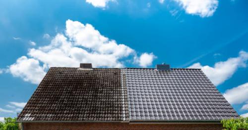 Un Nettoyage toiture Boulogne Billancourt est-il efficace contre les mousse