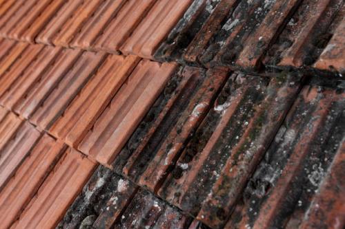 Faut-il un traitement hydrofuge après un Nettoyage toiture Boulogne Billanc